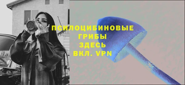 герыч Арсеньев